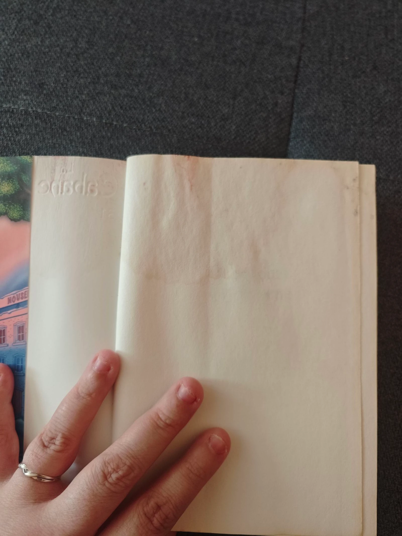 Au secours de la licorne 🦄 tome 31 (La cabane magique) – photo 3